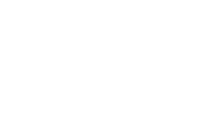fifa-security_logo